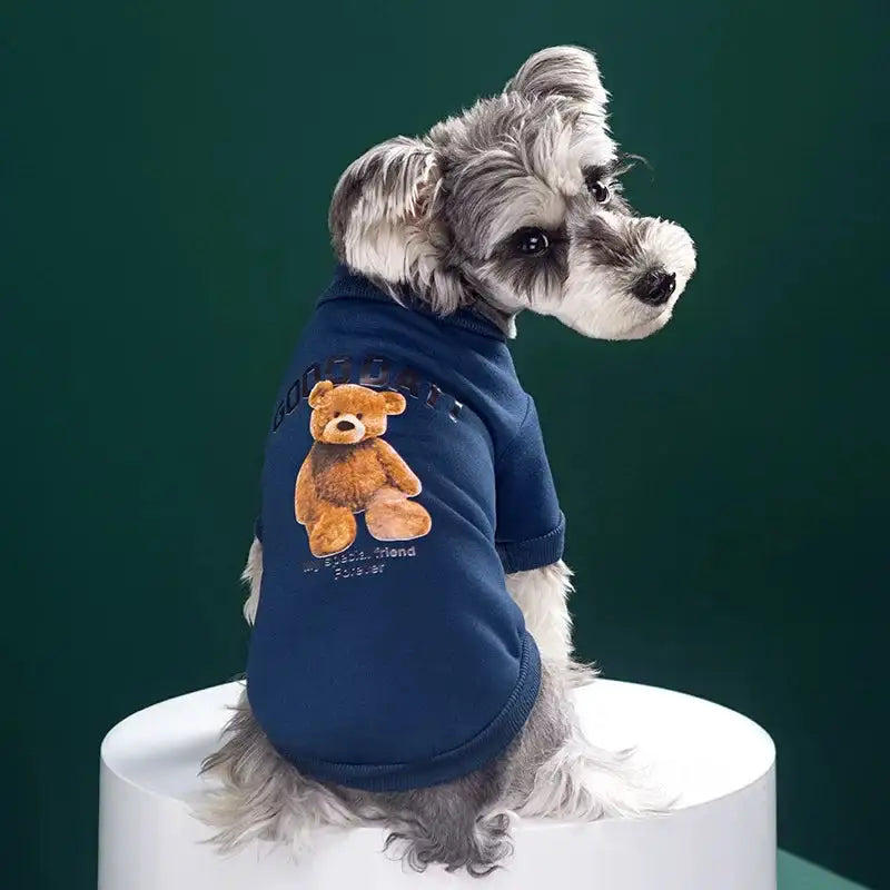 Bear Embrace Pullover - Products By Jax