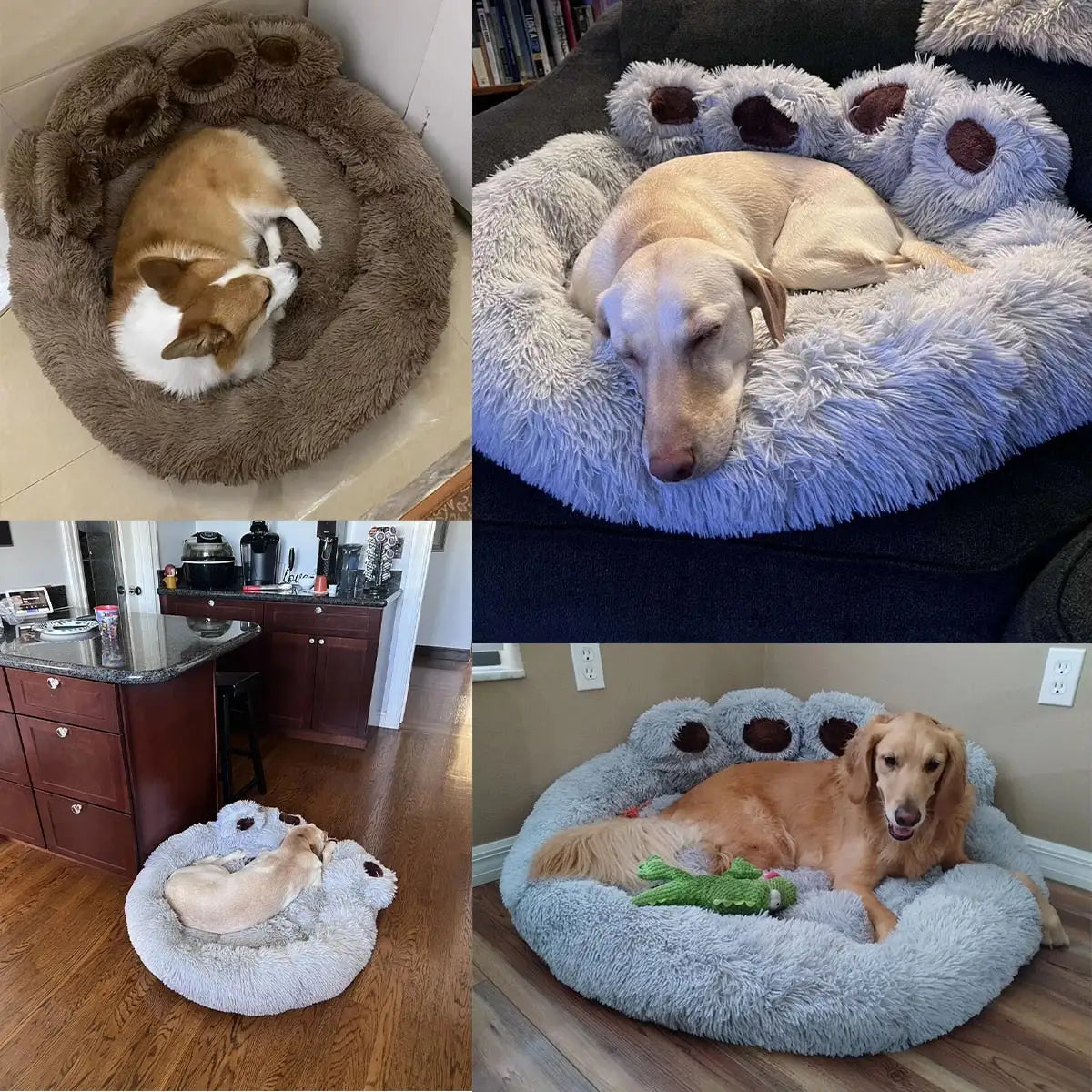 Pet Dog Sofa Beds - Products By Jax